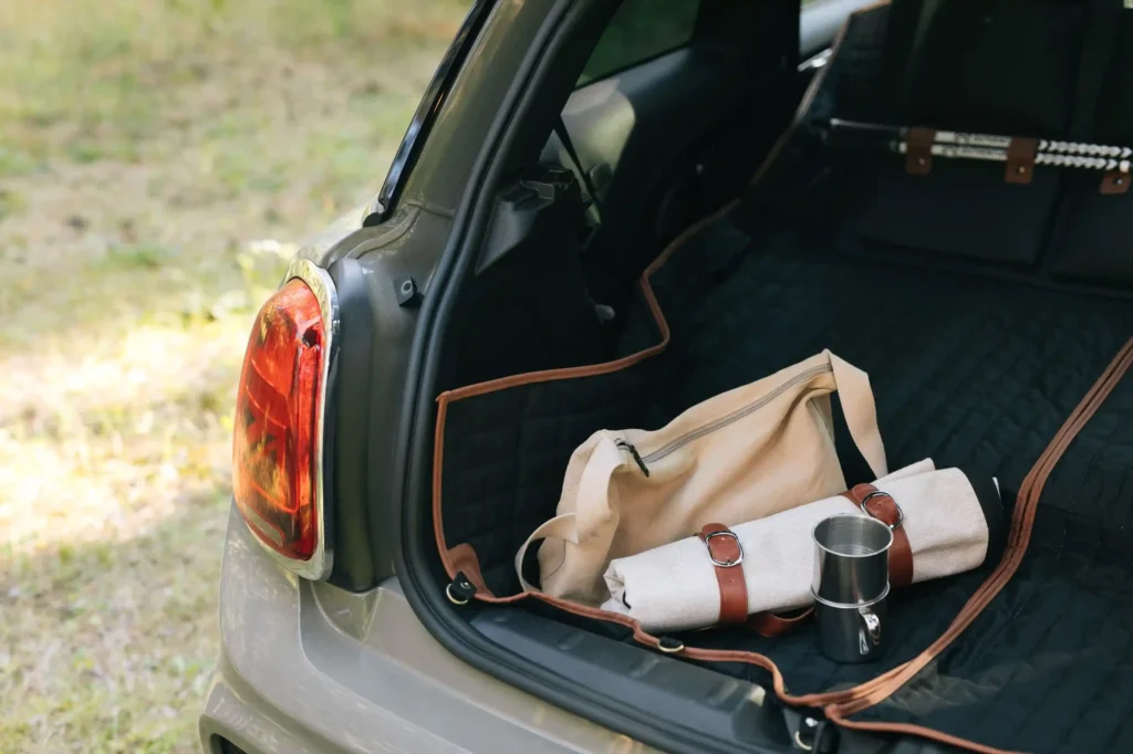 picnic throw